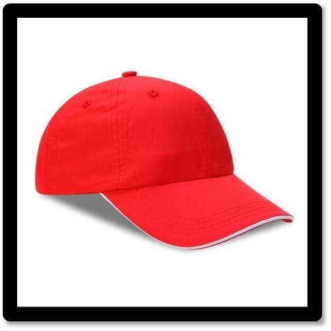 Puma Cap