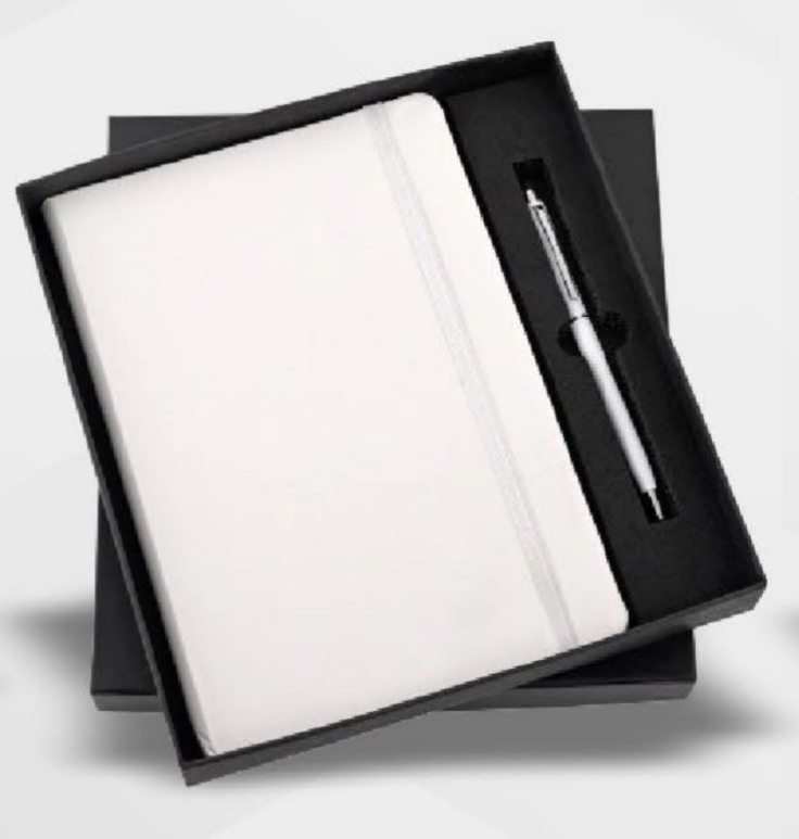 HARDBOUND A5 DIARY WITH METAL PEN KRT 9