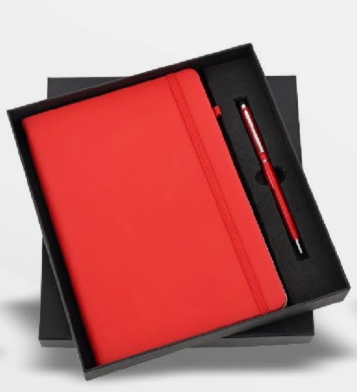 A5 DIARY WITH RED ELASTIC AND BALLPOINT PEN KRT 10